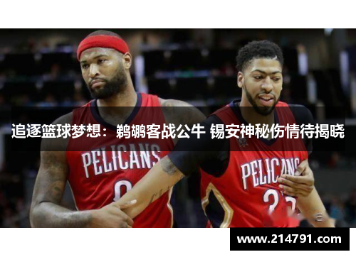 追逐篮球梦想：鹈鹕客战公牛 锡安神秘伤情待揭晓
